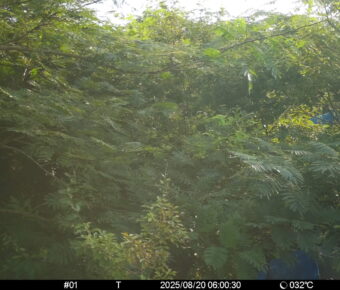Aug 20 2025  6:00:30, #01