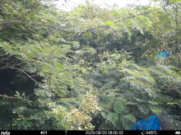 Aug 20 2025  9:00:32, #01