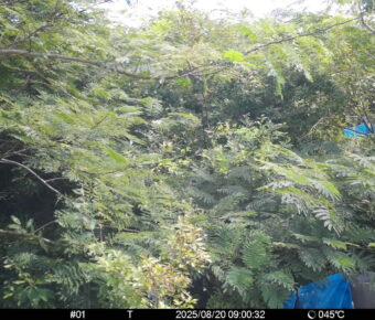 Aug 20 2025  9:00:32, #01