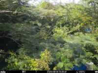 Aug 20 2025 15:00:31, #01