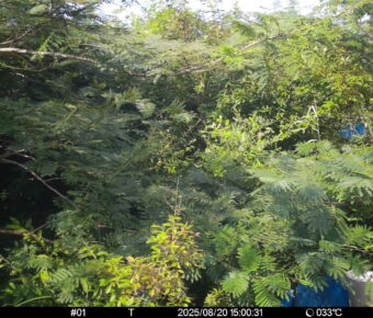 Aug 20 2025 15:00:31, #01