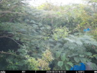 Aug 20 2025 18:00:32, #01