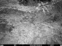 Aug 21 2025  3:00:31, #01