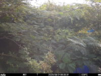 Aug 21 2025  6:00:30, #01
