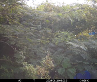 Aug 21 2025  6:00:30, #01