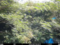 Aug 21 2025  9:00:31, #01