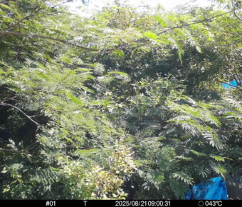 Aug 21 2025  9:00:31, #01