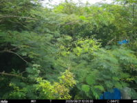 Aug 21 2025 12:00:30, #01