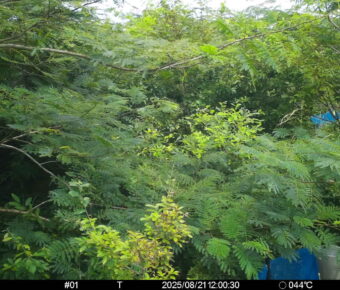 Aug 21 2025 12:00:30, #01