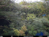 Aug 21 2025 15:00:31, #01