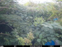 Aug 21 2025 18:00:31, #01