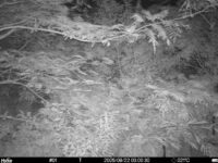 Aug 22 2025  3:00:30, #01
