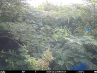 Aug 22 2025  6:00:31, #01
