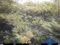 Aug 22 2025  9:00:31, #01