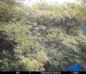 Aug 22 2025  9:00:31, #01