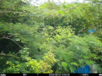 Aug 22 2025 12:00:30, #01