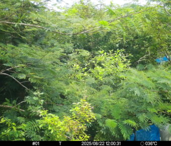 Aug 22 2025 12:00:30, #01