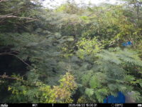 Aug 22 2025 15:00:31, #01