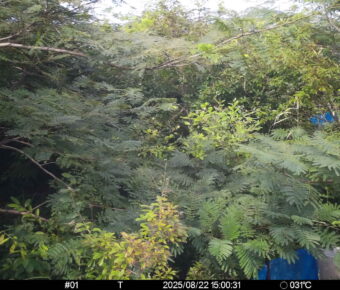 Aug 22 2025 15:00:31, #01