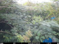 Aug 22 2025 18:00:31, #01