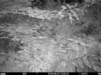 Aug 22 2025 21:00:32, #01