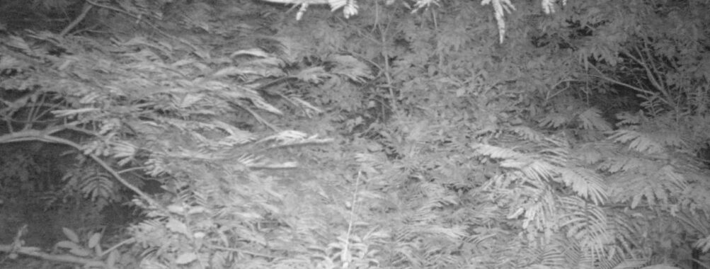 Aug 23 2025  3:00:30, #01
