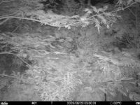 Aug 23 2025  3:00:30, #01