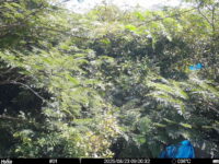 Aug 23 2025  9:00:32, #01