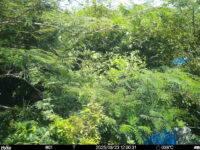 Aug 23 2025 12:00:31, #01