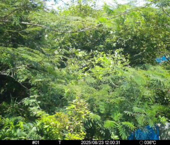 Aug 23 2025 12:00:31, #01