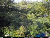Aug 23 2025 15:00:31, #01