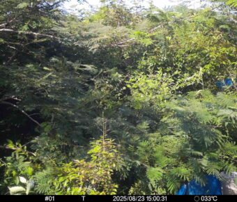 Aug 23 2025 15:00:31, #01
