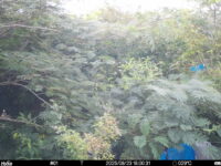 Aug 23 2025 18:00:30, #01