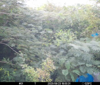 Aug 23 2025 18:00:30, #01