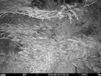 Aug 23 2025 21:00:32, #01