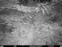 Aug 24 2025  0:00:31, #01