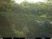 Aug 24 2025  6:00:31, #01