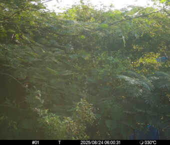 Aug 24 2025  6:00:31, #01