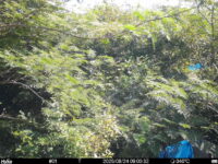 Aug 24 2025  9:00:32, #01