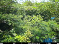 Aug 24 2025 12:00:32, #01