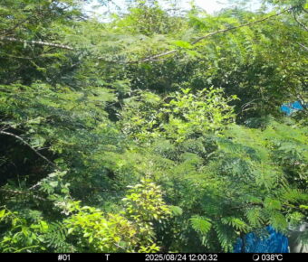 Aug 24 2025 12:00:32, #01