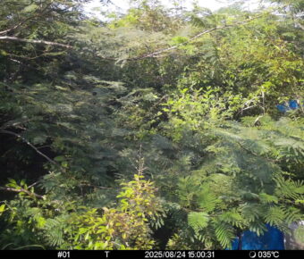 Aug 24 2025 15:00:31, #01
