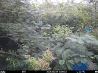 Aug 24 2025 18:00:32, #01