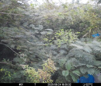 Aug 24 2025 18:00:32, #01