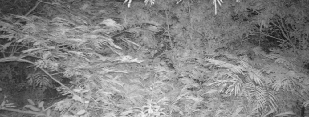 Aug 24 2025 21:00:32, #01