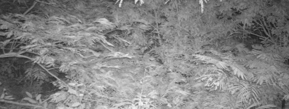 Aug 25 2025  0:00:30, #01
