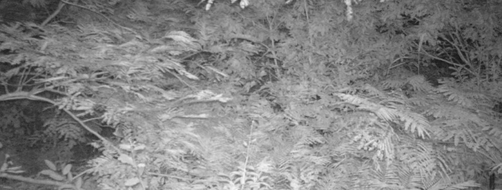Aug 25 2025  3:00:31, #01