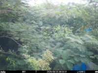 Aug 25 2025  6:00:31, #01