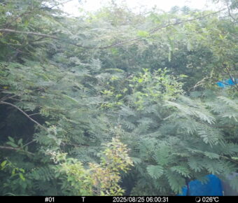Aug 25 2025  6:00:31, #01