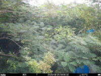 Aug 25 2025  9:00:31, #01